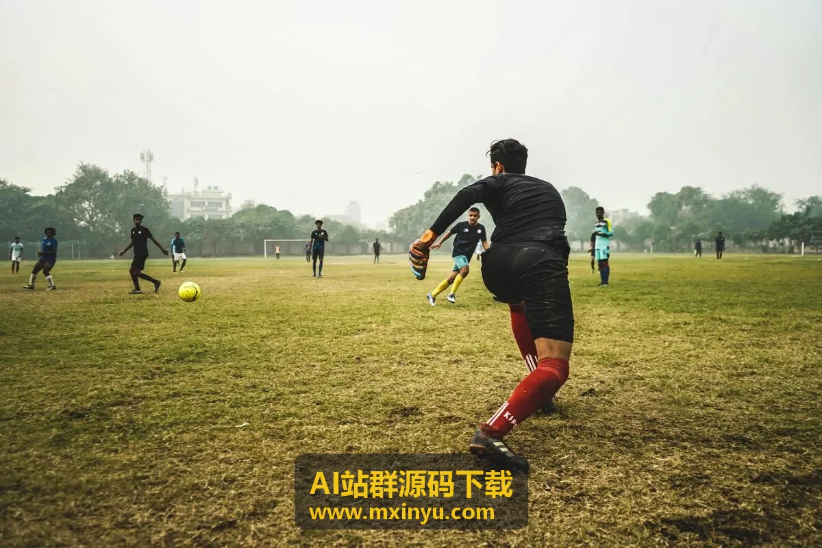 AI站群源码下载进阶版封面图